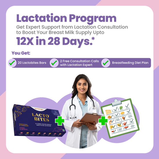 Lactation Program: 28 Day Plan to Increase Breast Milk Naturally